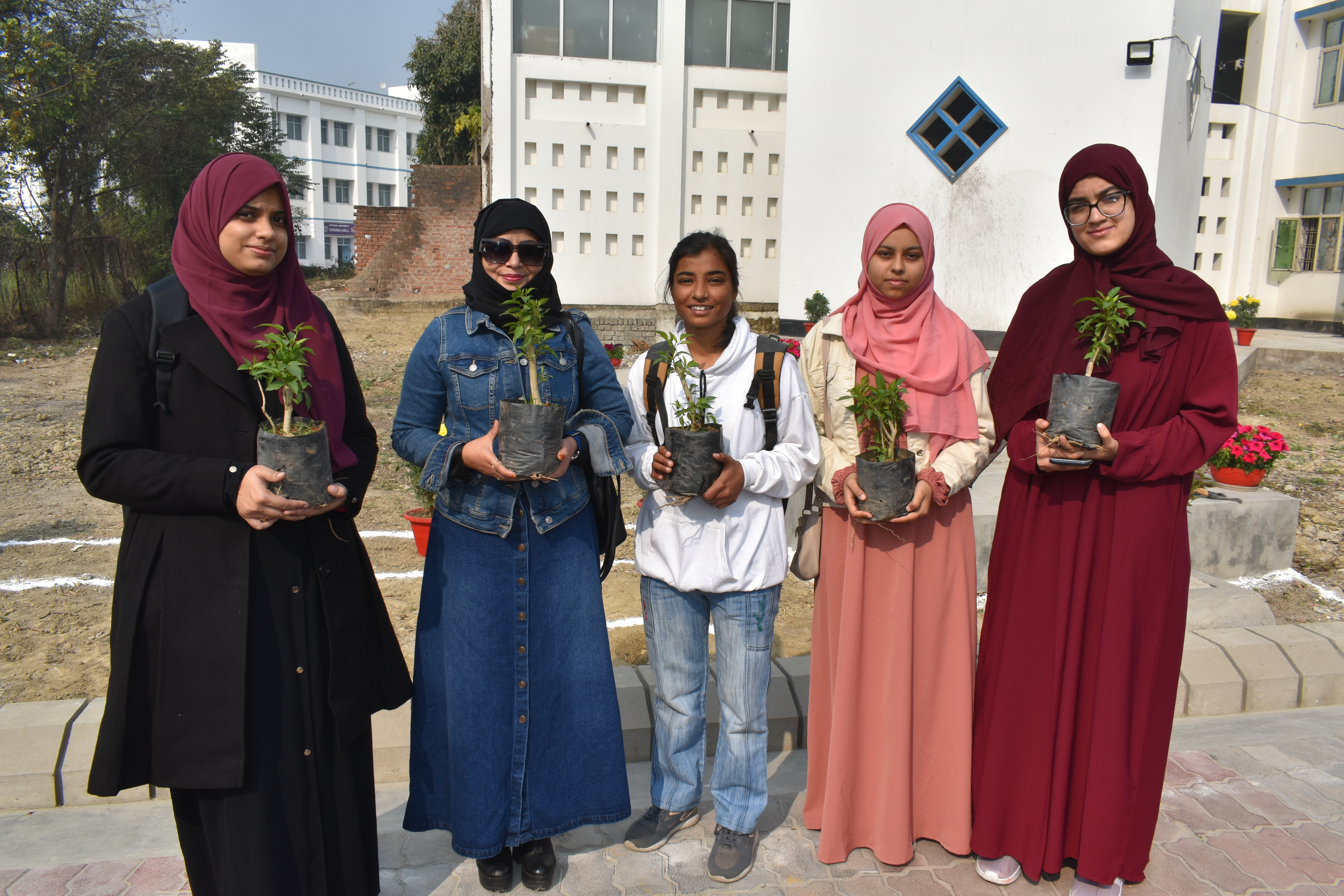 Plantation Drive 