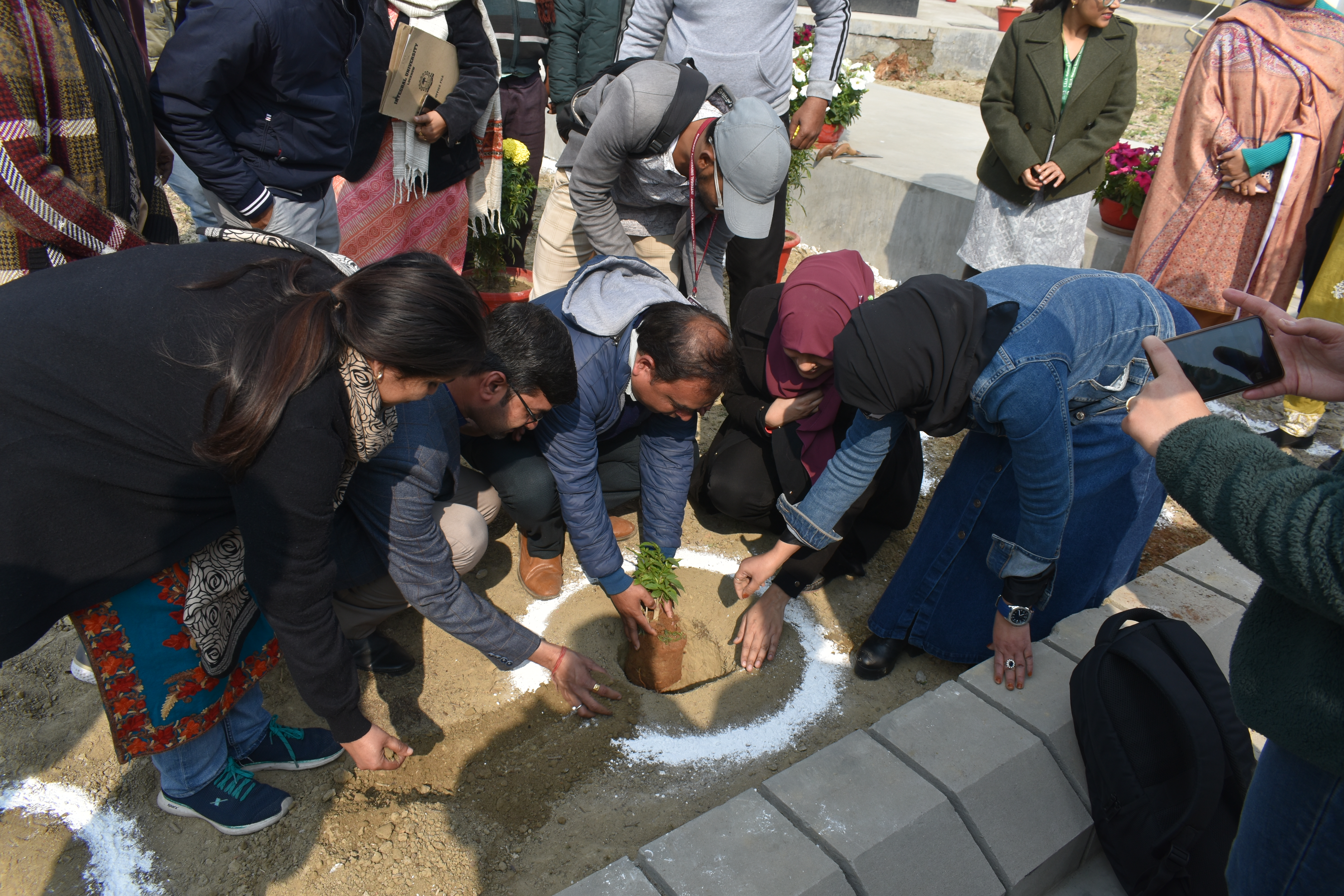 Plantation Drive 