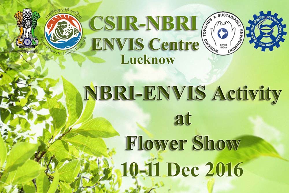  NBRI ENVIS activity in CSIR-NBRI in Flower Show